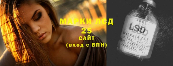PSILOCYBIN Абаза