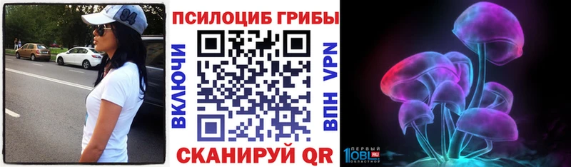Псилоцибиновые грибы ЛСД  магазин  наркотиков  Петров Вал 
